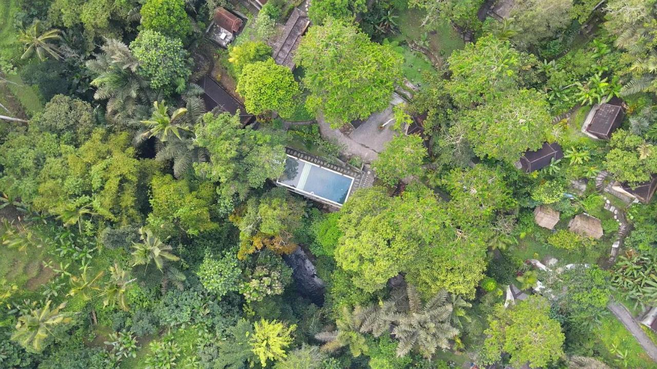 Bali Jungle Resort Tegallalang  Exterior photo